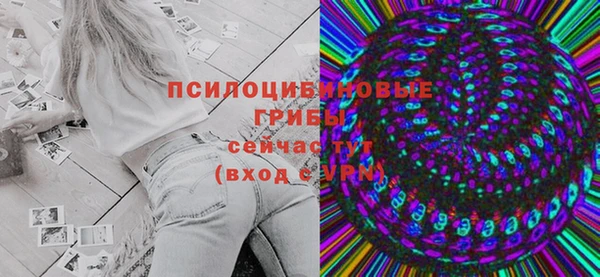 ПСИЛОЦИБИНОВЫЕ ГРИБЫ Абаза