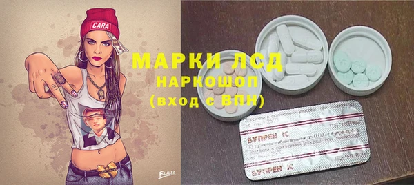 ГАЛЛЮЦИНОГЕННЫЕ ГРИБЫ Алзамай