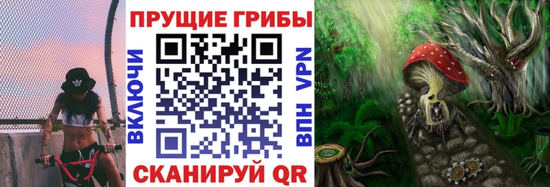 наркотики  Тюкалинск  Галлюциногенные грибы мухоморы 